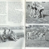 nr3 (02)